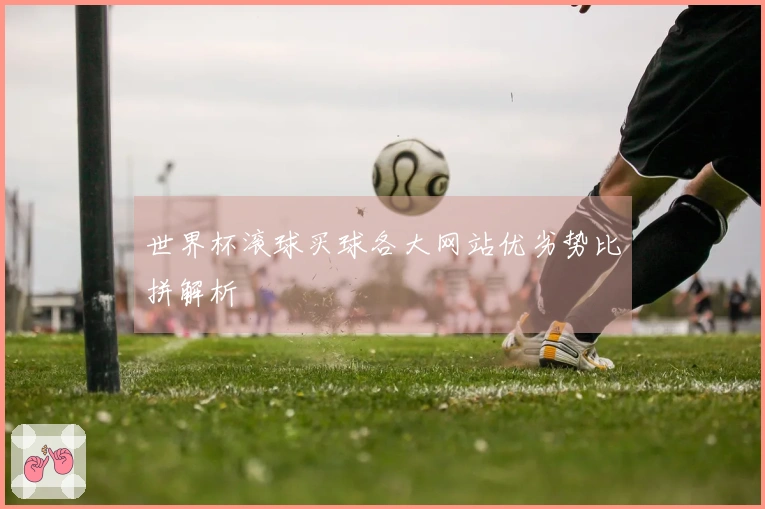 世界杯滚球买球各大网站优劣势比拼解析