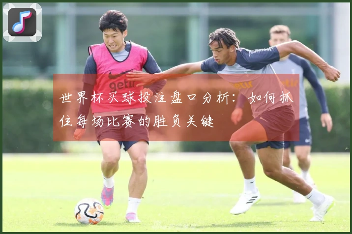 世界杯买球投注盘口分析：如何抓住每场比赛的胜负关键