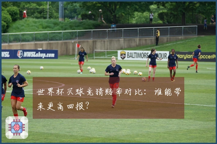 世界杯买球竞猜赔率对比：谁能带来更高回报？