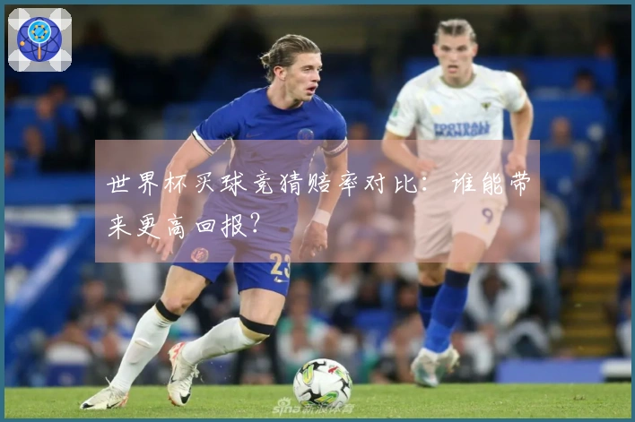 世界杯买球竞猜赔率对比：谁能带来更高回报？