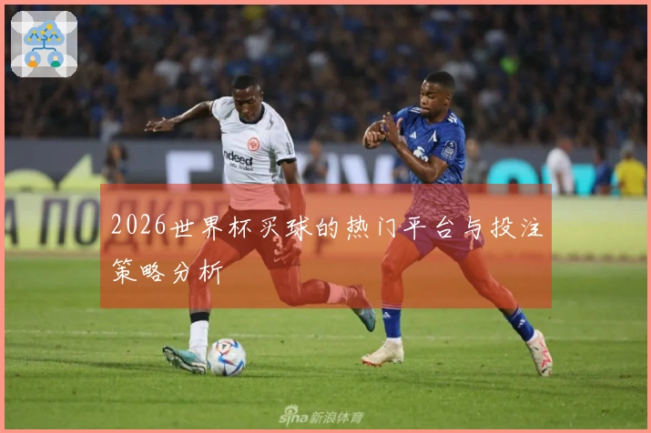 2026世界杯买球的热门平台与投注策略分析