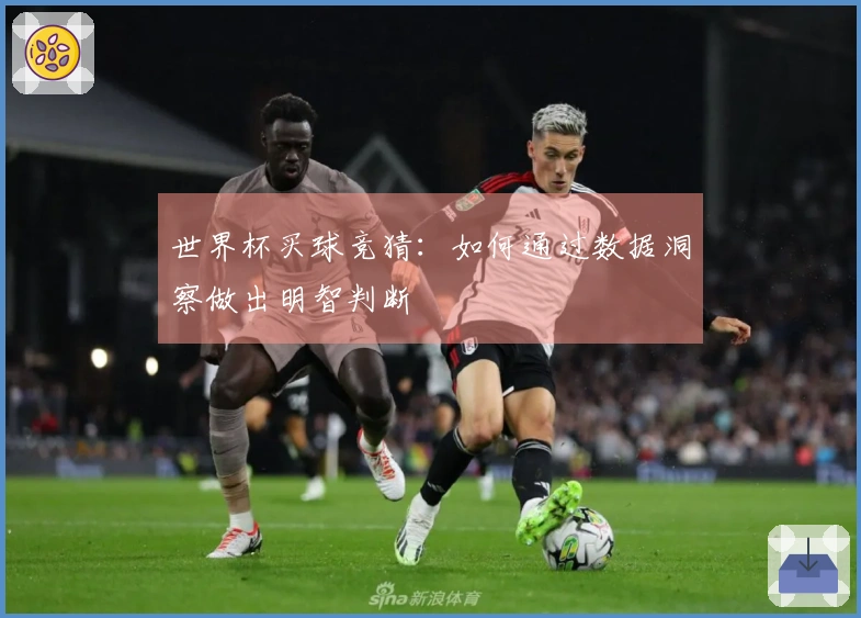 世界杯买球竞猜：如何通过数据洞察做出明智判断