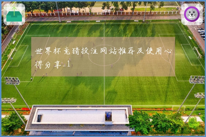 世界杯竞猜投注网站推荐及使用心得分享_1