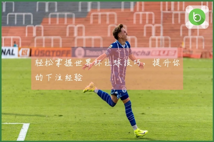轻松掌握世界杯让球技巧，提升你的下注经验
