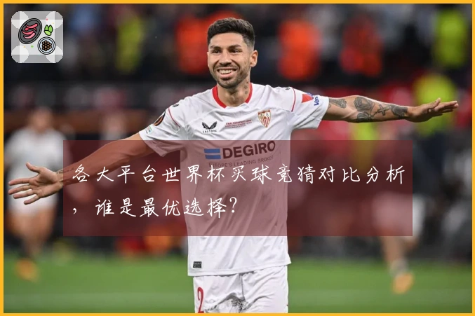 各大平台世界杯买球竞猜对比分析，谁是最优选择？