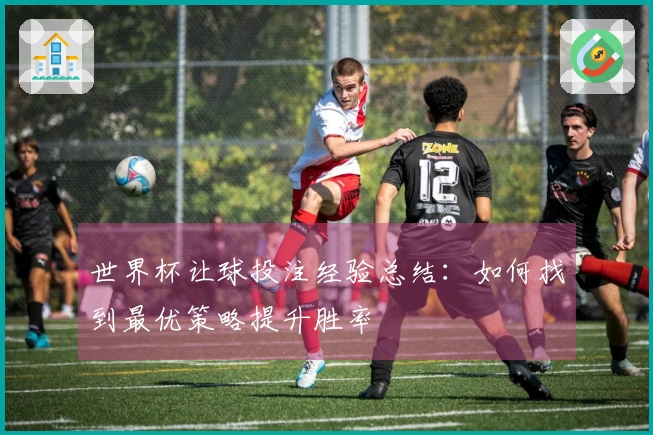 世界杯让球投注经验总结：如何找到最优策略提升胜率