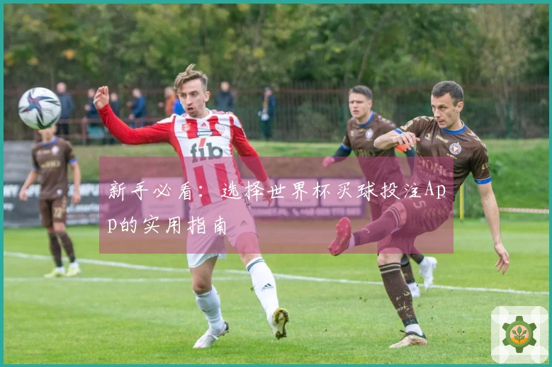 新手必看：选择世界杯买球投注App的实用指南