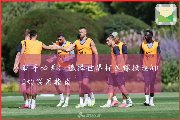 新手必看：选择世界杯买球投注App的实用指南