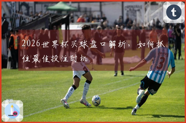 2026世界杯买球盘口解析，如何抓住最佳投注时机