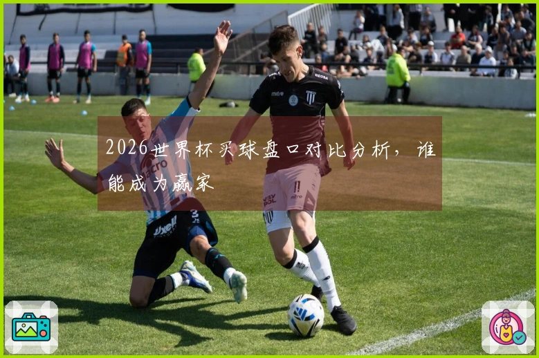 2026世界杯买球盘口对比分析，谁能成为赢家