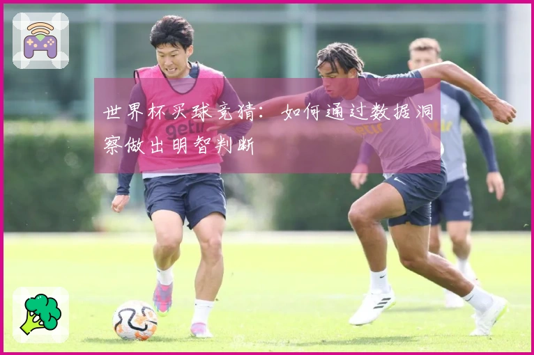 世界杯买球竞猜：如何通过数据洞察做出明智判断