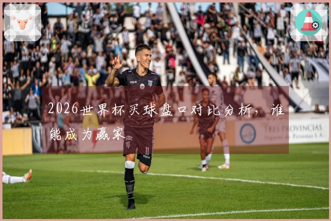 2026世界杯买球盘口对比分析，谁能成为赢家