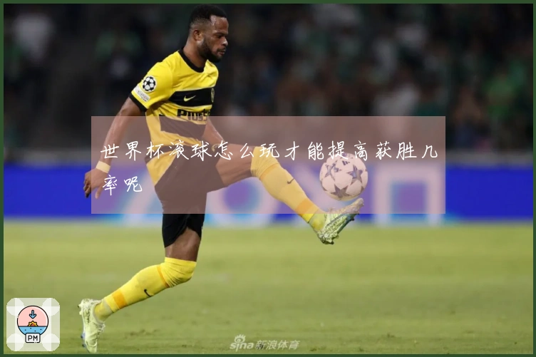 世界杯滚球怎么玩才能提高获胜几率呢
